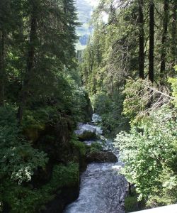 F Darbellay 2012 Davos 11