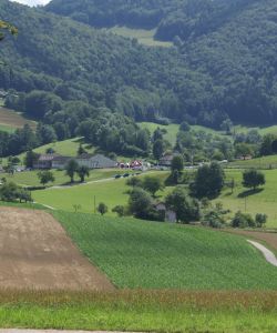 F Darbellay 2012 Valterbi 01