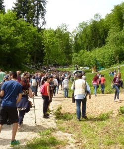 F Darbellay 2015 Albstadt 02