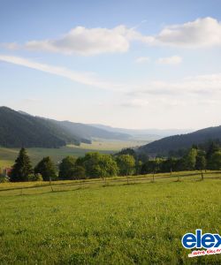 F Darbellay 2015 Trans Chaux 02