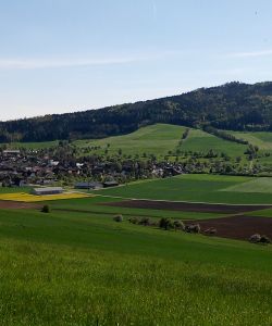 F Darbellay 2016 Singen 09