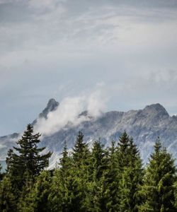 F Darbellay 2017 Montafon 08