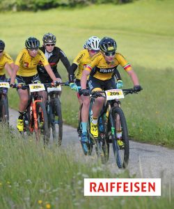 F Darbellay 2017 Trans Ponts 02