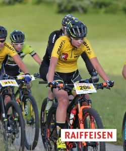 F Darbellay 2017 Trans Ponts 03