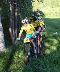 F Darbellay 2017 Trans Ponts 04
