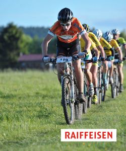 F Darbellay 2017 Trans Ponts 05