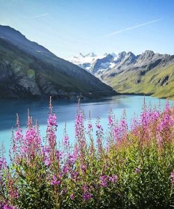F Darbellay 2018 Grand Raid 11