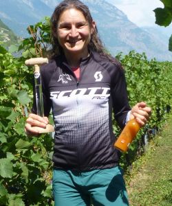 F Darbellay 2018 Grand Raid 36