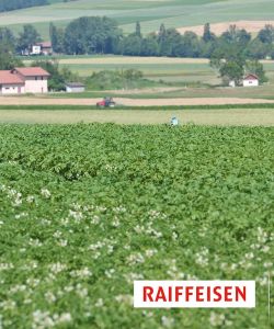 F Darbellay 2018 Trans Chezard 07