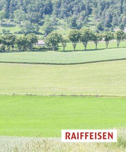 F Darbellay 2019 Trans Rocherfort 02